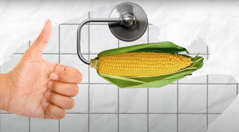 「世界真奇妙」科学冷知识 看过才知道世界真奇妙 那些神奇的秘密（第十五期）