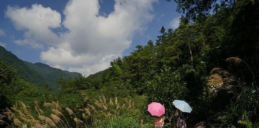 ##我国最适合养老的地方,原生态负氧富硒,一日三餐加住宿才80