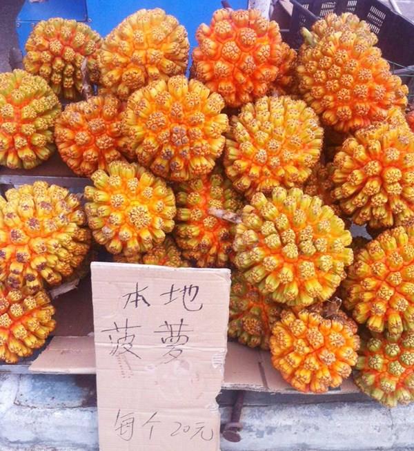 「水果」这5种水果“最坑人”，又贵又难吃，全都吃过的都是“土豪”