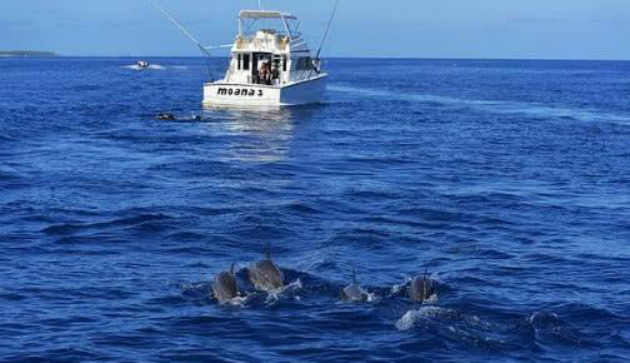 「洲际导弹」辽宁舰出海必定被鲨鱼尾随，到底因为什么？全球最大难题无法解决