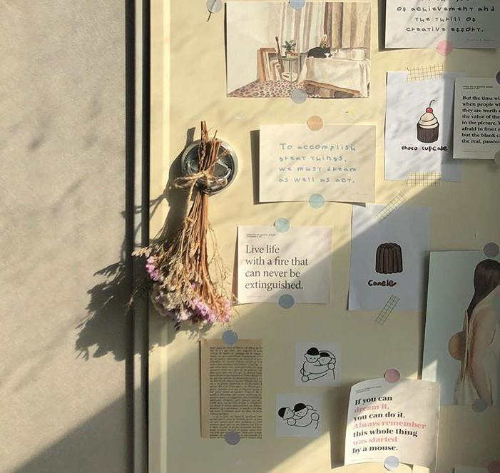 眼前的生活:30岁博主的“治愈系”家居走红:一个人的生活,过得精致而美好