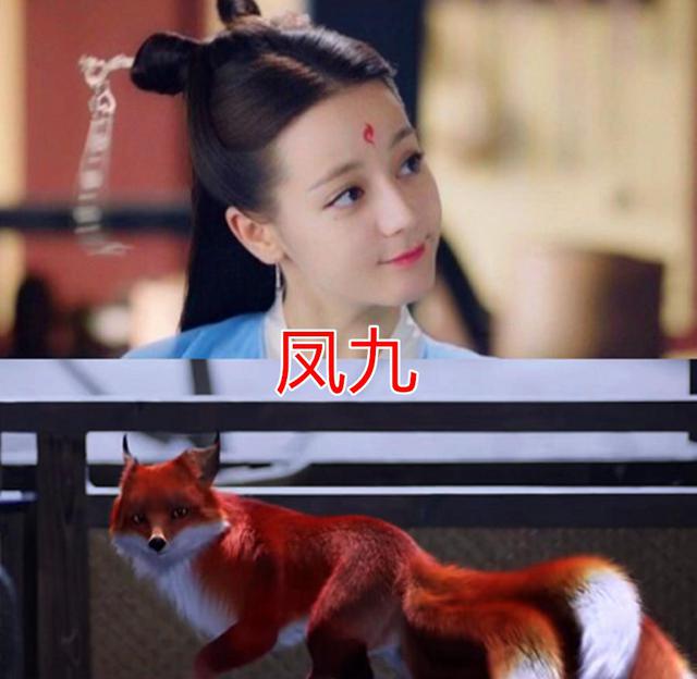 白浅的真身,锦觅的真身,旭凤的真身,凤九的真身厉害了!
