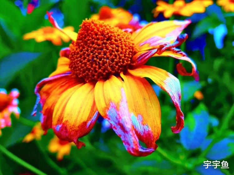 运势|9月开始财气冲天，运势不差，事业一路高歌，人生好命的四大生肖