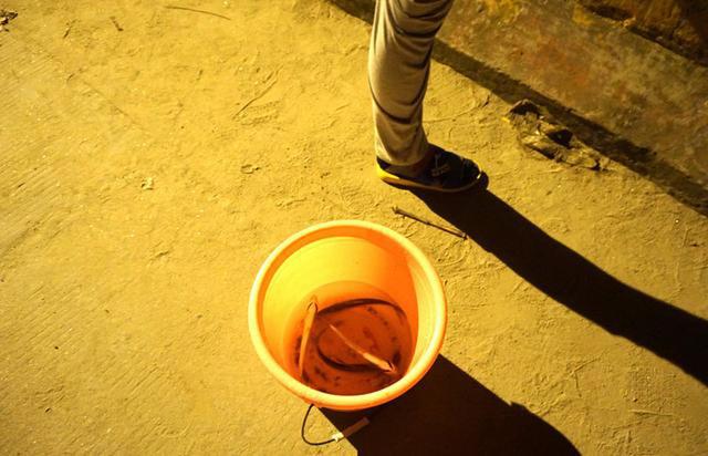 王牌钓手|夜钓多疯狂，桥上挤满钓鱼人，钓获的翘嘴鱼最多