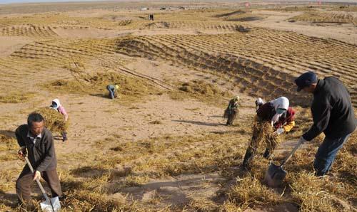 甘肃|甘肃发生了啥？24万神兵火速“支援”，引世界持续持续关注