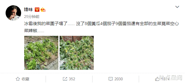 谢霆锋|谢霆锋的菜园子被冰雹砸塌，晒现场照，意外曝光和王菲的幸福生活