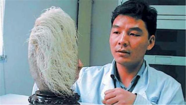 白发|老人捡到一块石头，上面长满“白头发”，专家看后：快报警