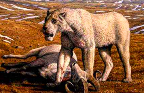 科学家■人类真的没有天敌吗?科学家指出一种凶狠动物,差点吃光人类祖先