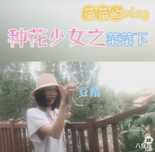 【苗苗】苗苗大方晒自家菜园，罕见全身出镜不见“大肚”，四肢纤细超少女