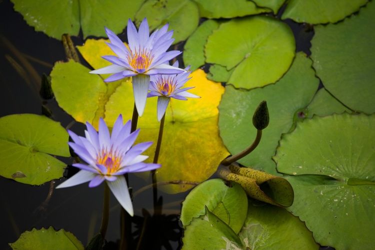 处女座|下个月起，前缘重现，柔情不变，再度着迷，回头相见的4大星座