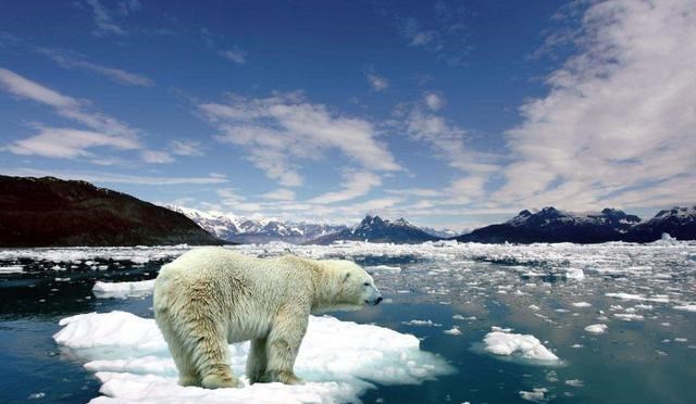 全球变暖|全球变暖将停止，世界将开始大规模降温，30年后地球会冷得离谱？