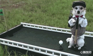 |“新来的老板娘，每天午睡都来办公室，”要不要提醒她一下呢……