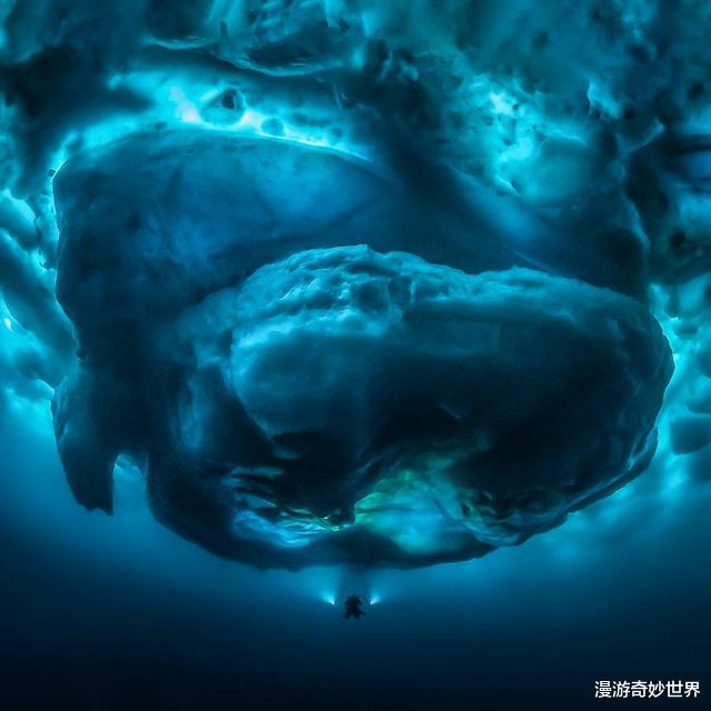 |让人又爽又害怕的30张图片，巨物恐惧症患者：要窒息了！