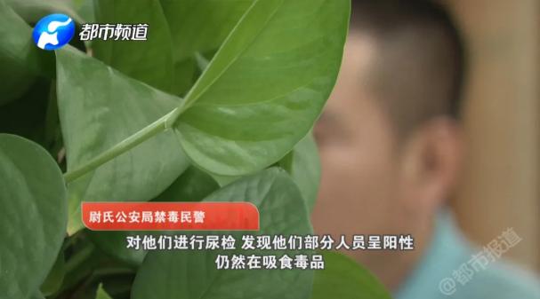 「尉氏」可恶！女子故意怀孕，用胎儿当“护身符”，竟干起了这种事……