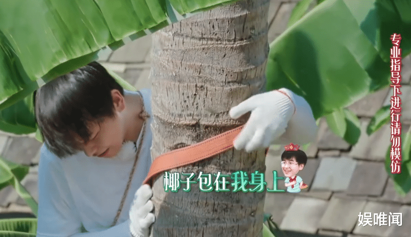 彭昱畅@彭昱畅爬完椰子树后,那把刀取下来没有?《向往的生活》导演回应了