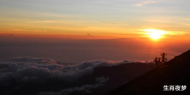 『生肖』6月，爱了倦了，累了碎了，3生肖一身疲惫，不再对爱情抱有幻想