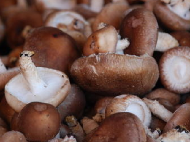 「」癌症患者注意，“工资再少”也要多吃4物，或助你远离癌症，更健康