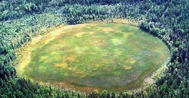 外星人|硬核最新解密文件 ! 真的有外星人，他居然来自金星