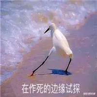 歌舞|「查无此人」大概是对她最好的报复