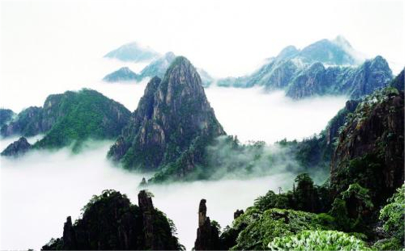 张家界|中国最赚钱的三座山,第三名收入过5亿,第一却是它的百倍