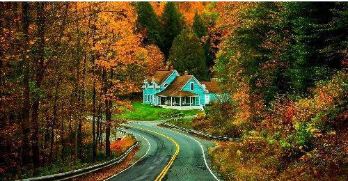 生肖▲未来8天，财神来敲门，横财不断，财富如雨，富甲一方的3大生肖