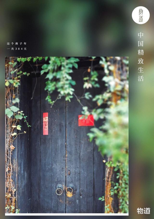 三伏天|三伏天至:吃好三样,喝好三样,做好三样