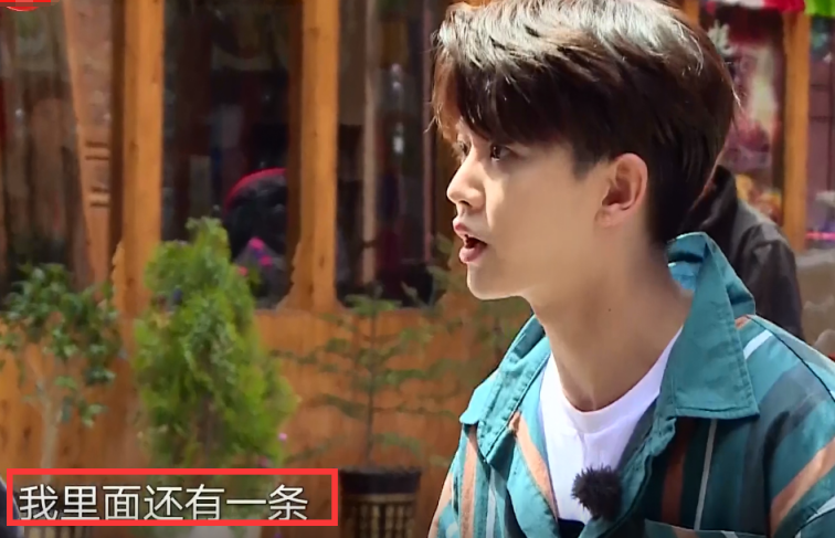 任嘉伦|任嘉伦把《极限挑战》玩出新高度，他才是被严重低估的综艺咖