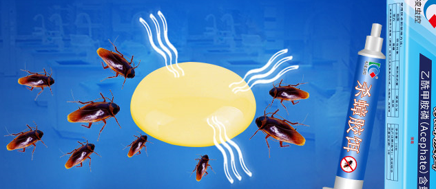 蟑螂|蟑螂的“克星”找到了，昆虫家：一种“昆虫”让蟑螂们闻风丧胆