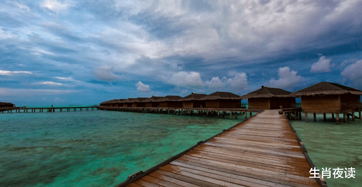 |11月底，桃花送情，收获心中良缘，邂逅旧情，真爱共度余生