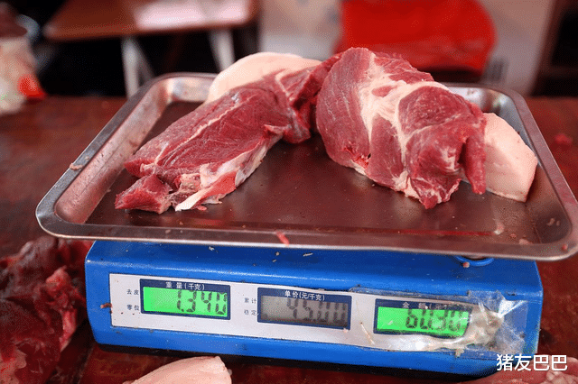 豬價“躁動”肉價再起波瀾，元旦、春節毛豬及豬肉預計要漲至……-圖5