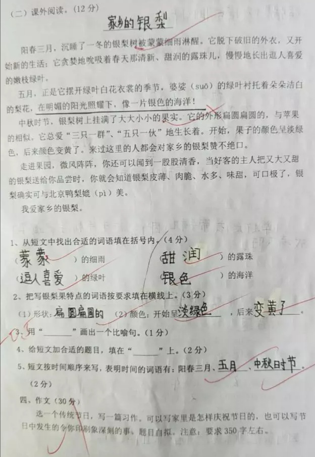 『作文』小学三年级学生语文测试卷，学生考了96分，网友：前途无量！
