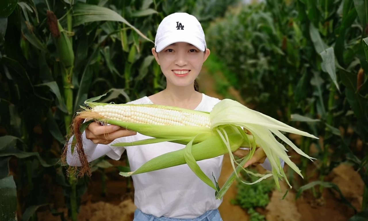 玉米|煮玉米时，万不可只用清水煮，多加这2样东西，玉米更加香甜软糯