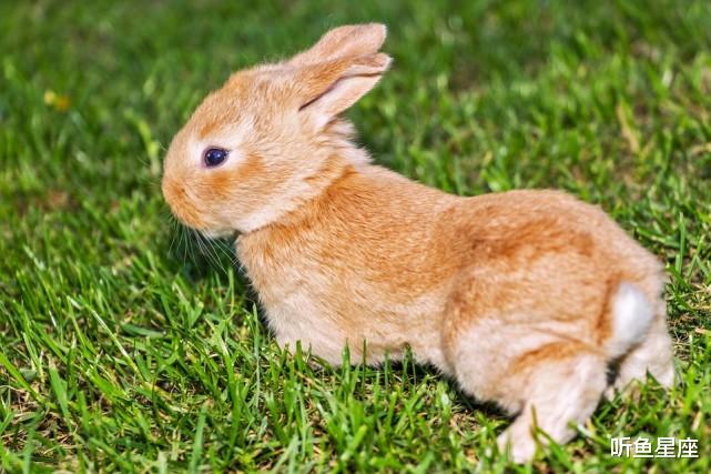 马力|9月中旬，3属相马力全开，事业、财运更上一层楼，收入翻番