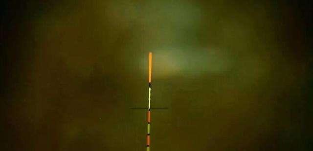 饵料|抛竿越远越好？谣言！这是你钓一会后就没鱼吃钩的原因！