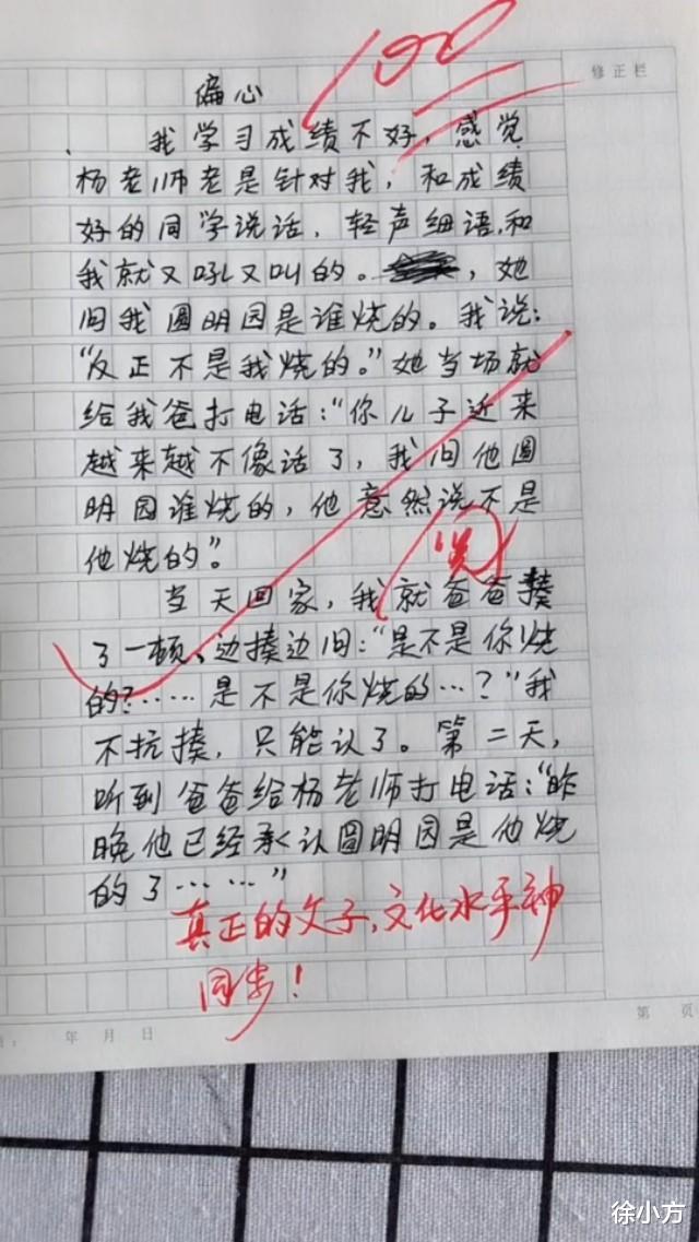 作文：小学生的逆天作文，老师评价: 惜字如金，字字千金！