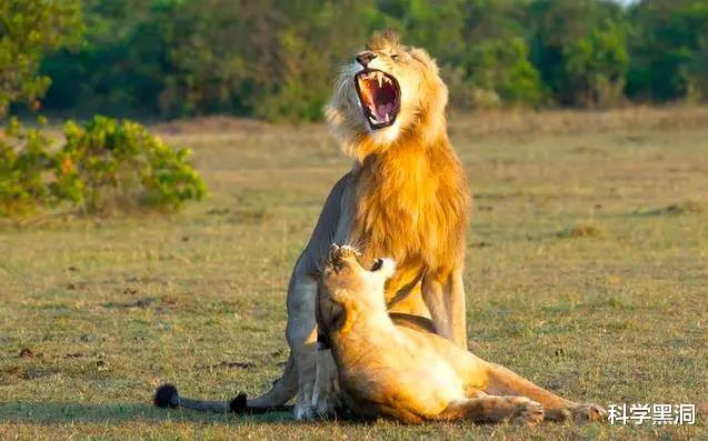 [哺乳动物]地球上，哺乳动物的生殖系统为什么都在两腿之间？