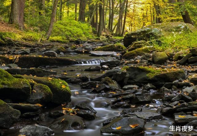 狮子座|7月中旬，吉星照射，好运连连的三大生肖。八方来财，日益幸福