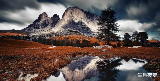 运势|11月上旬，这三个生肖姻缘来袭，遇到真爱，借势利导，共度良宵