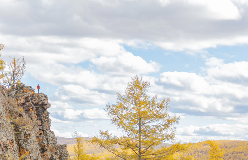 生肖|十月上旬开始，财源不断，名利双收，运势红火的生肖