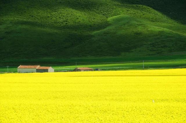 旅游景点|青海十大经典旅游景点，你去过几个？