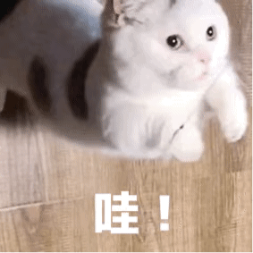 ＂原＂厚街发布|巧手阿姨将废弃“边角料”制成环保袋，被赞“不输市面卖的”！