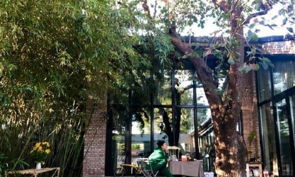 殷桃晒出自己的豪宅，室内户外都种满植物，就像住在花园里一样