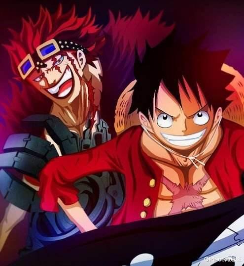 路飞|海贼王：路飞在超新星中一枝独秀，这四人不比他差，赏金却不高