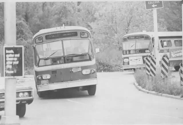 英特尔|乔布斯遗孀有新男票了！千亿阔太豪言裸捐1800亿，爱上小12岁大厨