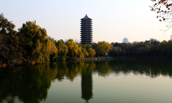 高考|北大开学现15岁最小新生: 中考成绩一般, 但她的学习方法适用于大多数人