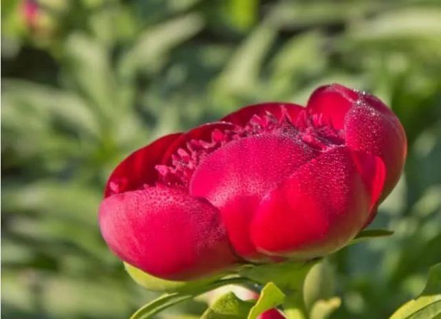 运势■7月开始运势走出低谷，财富高涨，苦海上岸的四大生肖