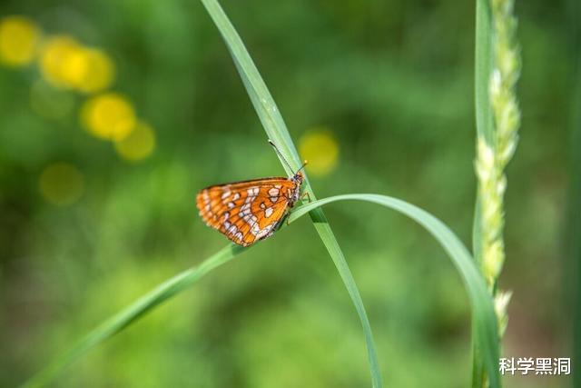 霍金|“末日钟”速度加快，人类距离午夜仅100秒，霍金预言或要成真？