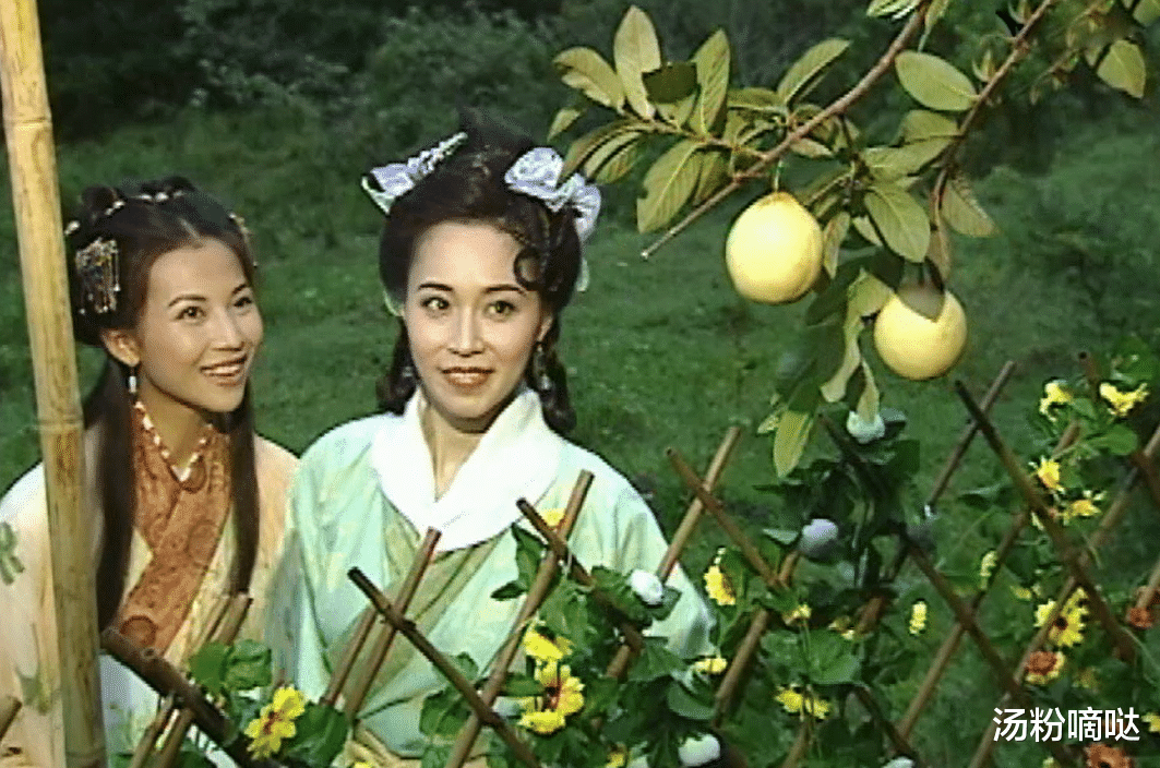 洛神|剧情比人设更优秀，被誉经典的蔡少芬版《洛神》，到底有多惊艳？