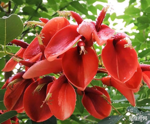 |哪些月份出生的人，能力出众，得贵人赏识，职场中一展身手！