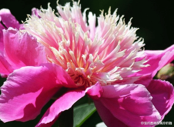 |未来30天，4属相财源广进，日子越来越好，幸福满满，衣食无忧